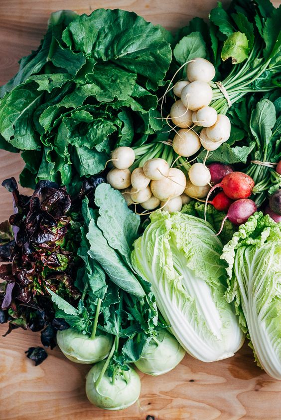 Biophilia Health Nutrition